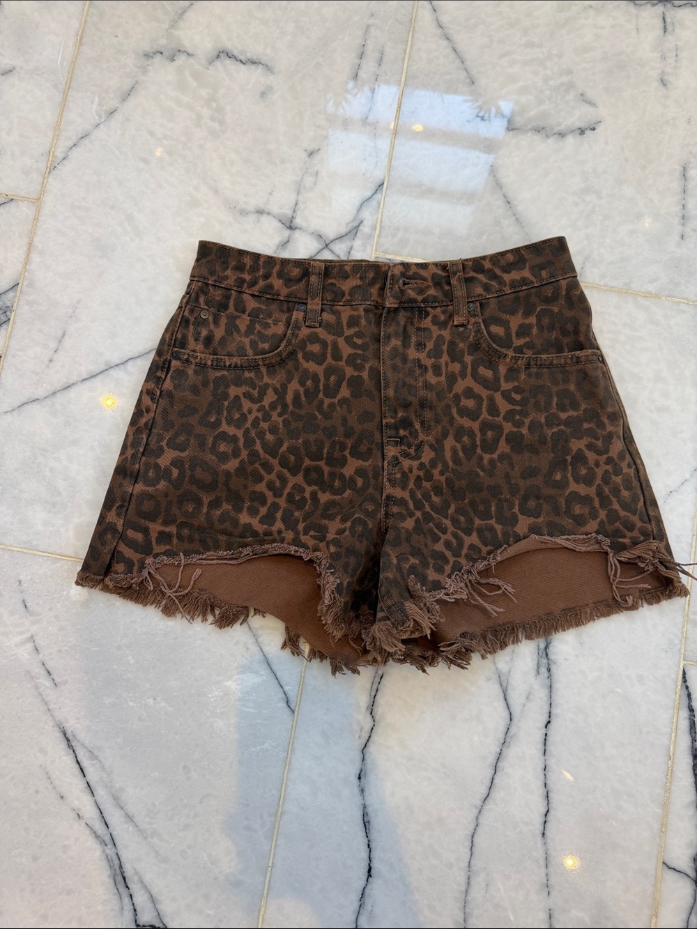 Alexander Wang Leopard Print Frayed Hem Women's Shorts - Brown